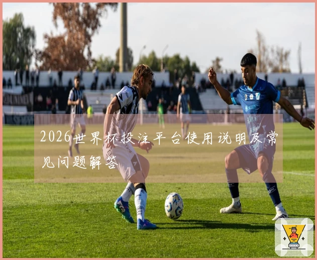 2026世界杯投注平台使用说明及常见问题解答