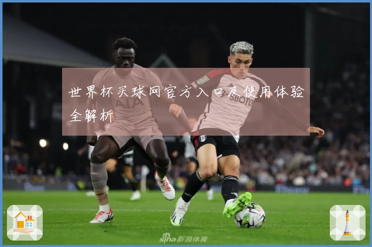 世界杯买球网官方入口及使用体验全解析