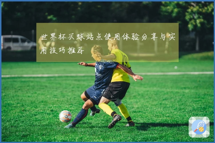 世界杯买球站点使用体验分享与实用技巧推荐