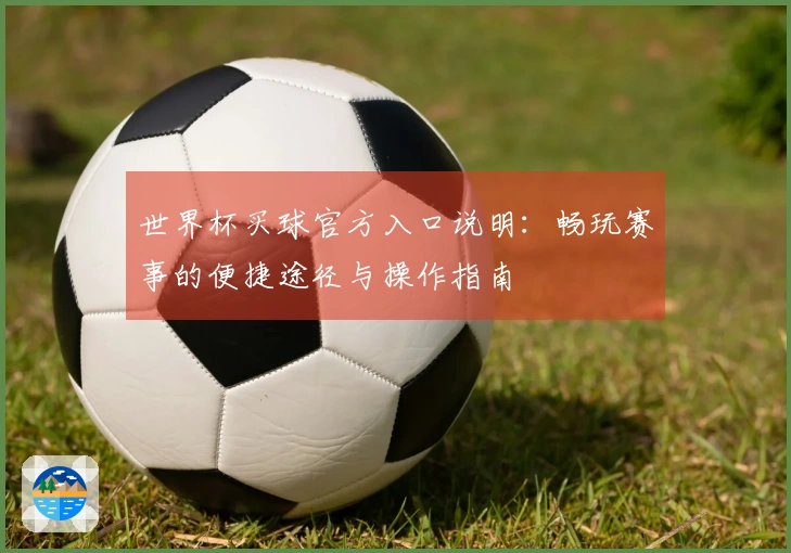 世界杯买球官方入口说明：畅玩赛事的便捷途径与操作指南