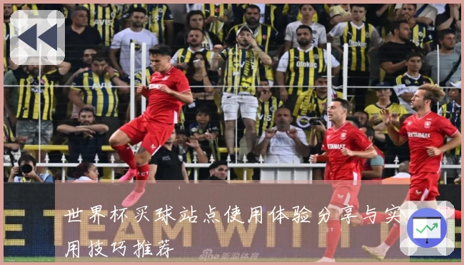 世界杯买球站点使用体验分享与实用技巧推荐