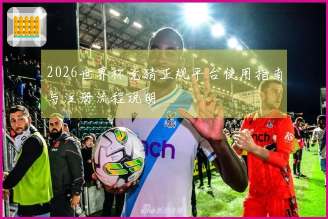 2026世界杯竞猜正规平台使用指南与注册流程说明