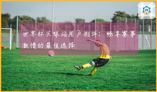 世界杯买球站用户测评:畅享赛事激情的最佳选择