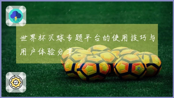 世界杯买球专题平台的使用技巧与用户体验分享